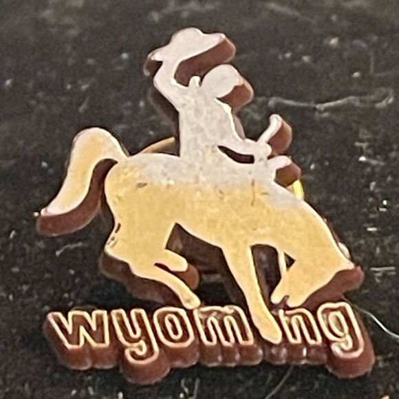 1” Fanmats NCAA Wyoming Cowboys Team logo saddle bronc rider lapel/hat pin - Picture 3 of 11